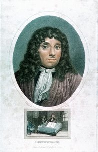Anton van Leeuwenhoek, microscopiste néerlandais - John Chapman