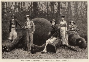 Chasse à l