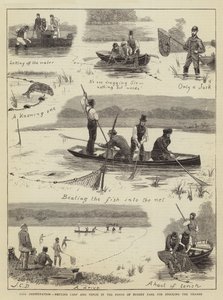 Préservation des poissons, capture de carpes et de tanches dans les étangs de Bushey Park pour le stockage de la Tamise