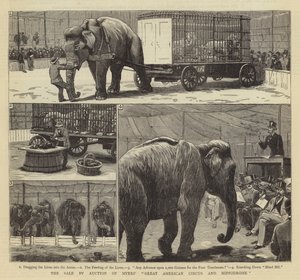 La vente aux enchères du grand cirque américain et de l