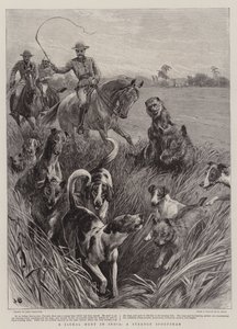 Une chasse au chacal en Inde, un étrange chasseur - John Charlton