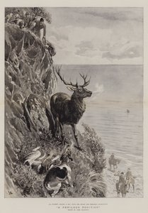 Une position périlleuse