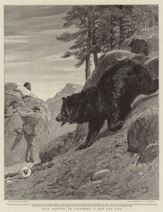 Chasse à l