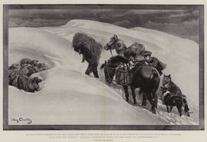 Nourriture pour les Affamés, soin des Moutons Enneigés sur les Collines de Northumberland