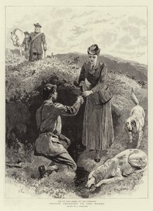 Chasse au tétras sur les landes