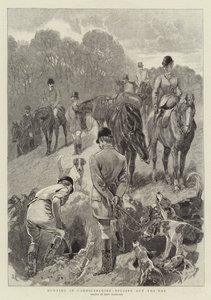 Chasse au Cardiganshire, déterrage du renard