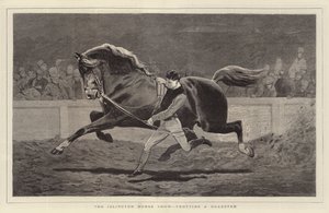Le Salon du Cheval d