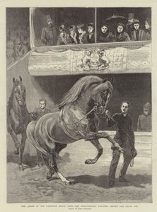 La reine au salon du cheval d