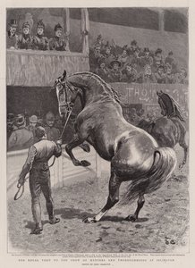 La Visite Royale au Salon des Chasseurs et Pur-sang à Islington - John Charlton