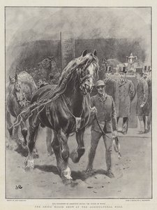 Le Salon du Cheval de Trait à l
