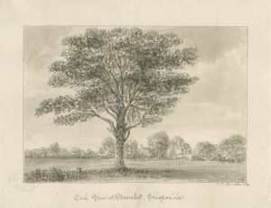 Boscobel - Le Chêne Royal - John Chessell Buckler
