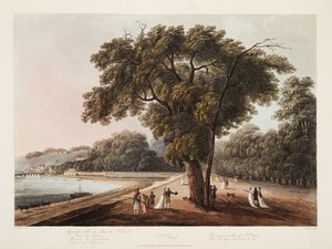 Saint-Cloud, La Grande Allée de Saint-Cloud, Le Pont de Sèvres, etc., illustration de Versailles, Paris et Saint Denis, pub. 1805
