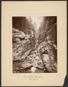 Dans les montagnes blanches/The Flume