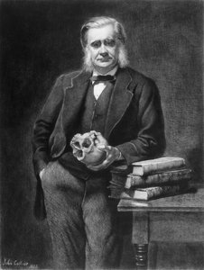 Thomas Henry Huxley (1825-95) gravé par Leopold Flameng (1831-1911) 1885