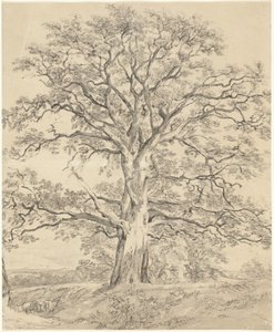 Un grand chêne - John Constable