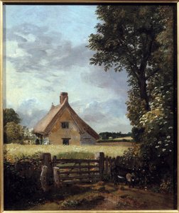 Cottage dans un champ de blé.