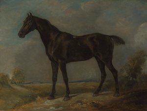 Le Cheval Noir de Golding Constable - John Constable