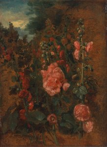 Étude de roses trémières, vers 1826 - John Constable