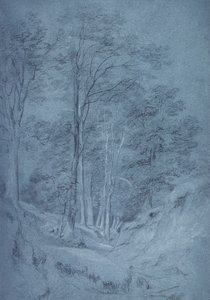 Étude de frêne et autres arbres
