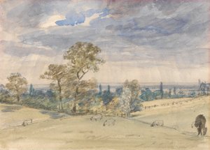 Paysage du Suffolk