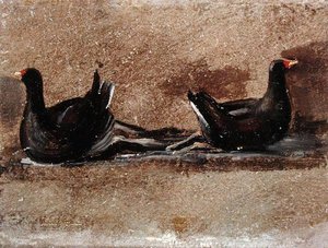Deux poules d