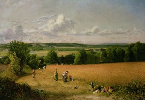 Champ de blé - John Constable