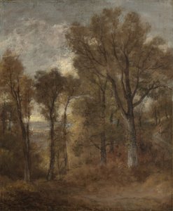 Scène boisée surplombant Dedham Vale, vers 1802-03 - John Constable