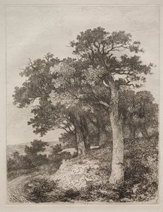À Colney - John Crome