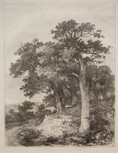 À Colney - John Crome