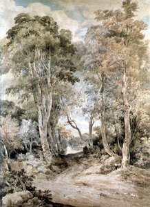 Scène boisée - John Crome
