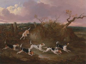 Beagles en pleine chasse - John Dalby