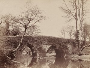 Le pont de campagne (Pont de Staplylton, Bristol) - John Dillwyn Llewelyn