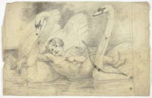 Cupidon et les cygnes