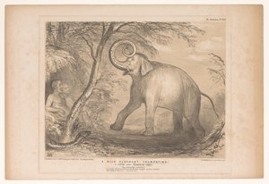 Caricature de Lord Ellenborough en éléphant sauvage (série HB Sketches) - John Doyle