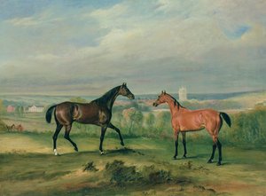 Les chasseurs favoris du comte Bathyany à Melton Mowbray
