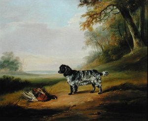 Paysage avec un Chien