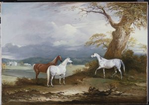 Les juments de Lord Macdonald sur les terrains de Thorpe Hall, Rudston, Yorkshire, 1836