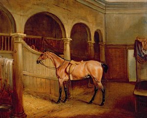 Le hack rouan de Lord Villiers dans les écuries de Middleton Park - John E. Ferneley