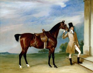 Le chasseur bai de Miss Villebois tenu par un palefrenier - John E. Ferneley