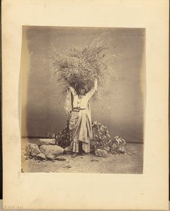 [Jeune paysanne indienne tenant des brindilles sur sa tête]