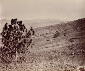 Paysage avec arbre et trois hommes, Inde