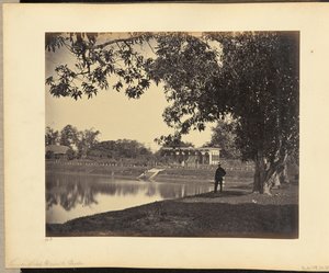 Vue sur le jardin Rajah Ghosauls