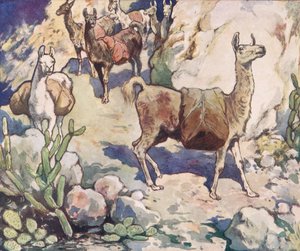 Alpagas sur un chemin de montagne, illustration de 