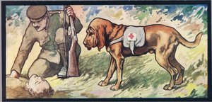 Ambuland bloodhound, illustration de 