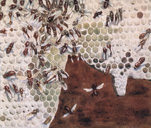 Les Abeilles fabriquant du miel, illustration de 