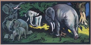 Éléphant dans la nature