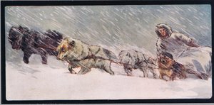 Huskies tirant un traîneau, illustration de 
