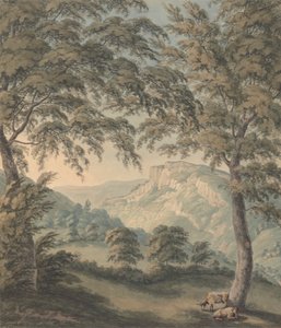 Matlock High Tor, Derbyshire - John Emes