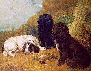 Repos de midi - John Emms