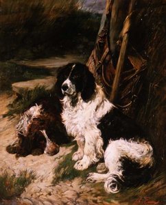 Épagneul Marron et Blanc et Noir et Blanc - John Emms